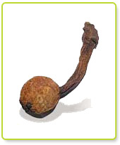 HUANARPO MACHO.jpg