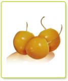 Incan Goldenberries (50g)