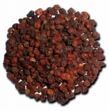 Klanopraška (Schizandra) plod (100g)