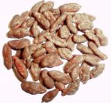 GOJI V MLÉČNÉ ČOKOLÁDĚ (1000g)