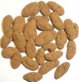 GOJI V MLÉČNÉ ČOKO a SKOŘICI  (100g)
