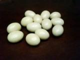 Sacha Inchi v bílé čokoládě (100g)