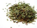 Estragon (50g)