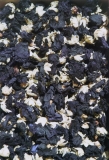 Topolovka květ (50g)