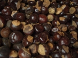 Guarana plod sušený celý (50g)
