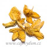 Lotos indický (50g)