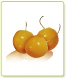 Incan Goldenberries (100g)