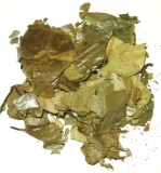 Graviola, Anona   (40g)