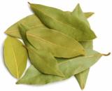 Bobkový list celý (250g)