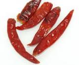 Chilli papričky celé (500g)