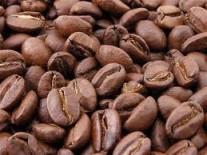 Cibetková káva (100g)