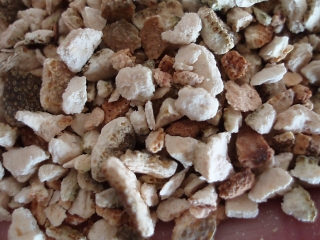 Kiraso oplodí řez. (50g)