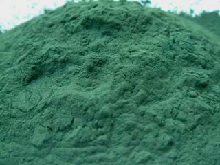 Spirulina mletá (100g)