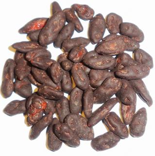 GOJI V HOŘKÉ ČOKOLÁDĚ (100g)