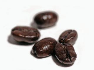 Papua NG plantation Sigri A  (1kg)