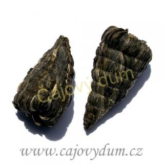 Yunnan Yu Zhu ( 1ks)