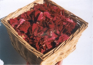 Pivoňka květ (50g)
