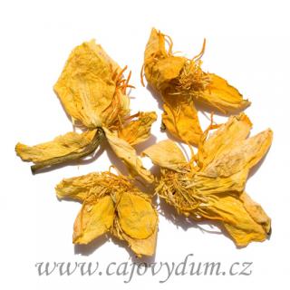 Lotos indický (50g)