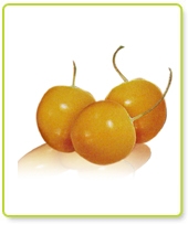 Incan Goldenberries 1000g)