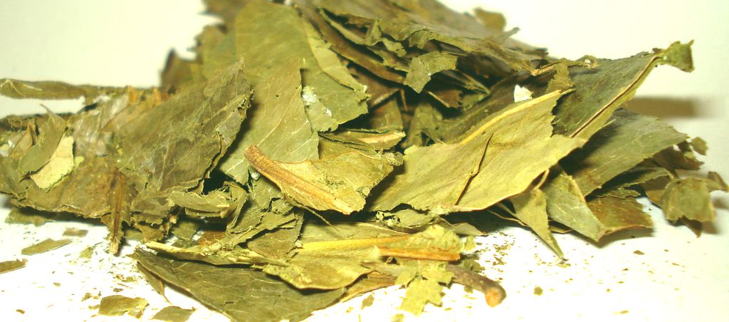 Graviola, Anona, Guanabana mletá 