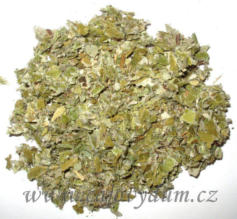 Podběl list řezaný 