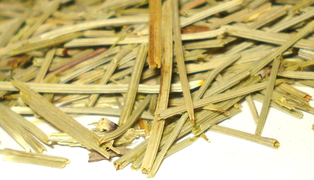 Cola de Caballo mletá