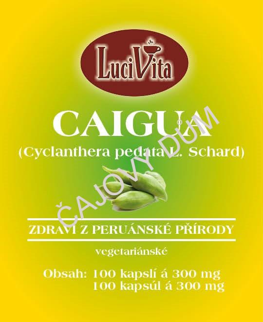 Caigua kapsle (100ks)