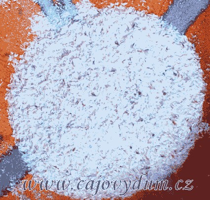 Psyllium - volné (1000g)