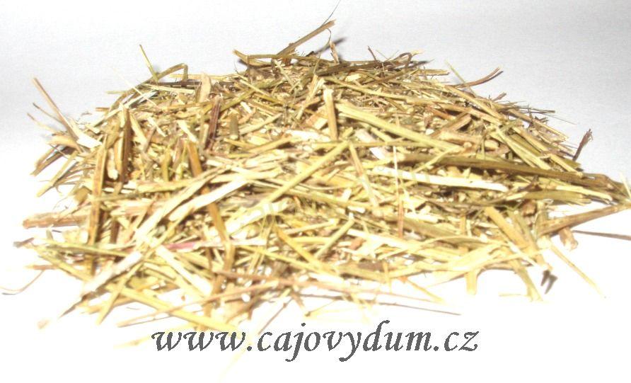 Canchalagua řezaná