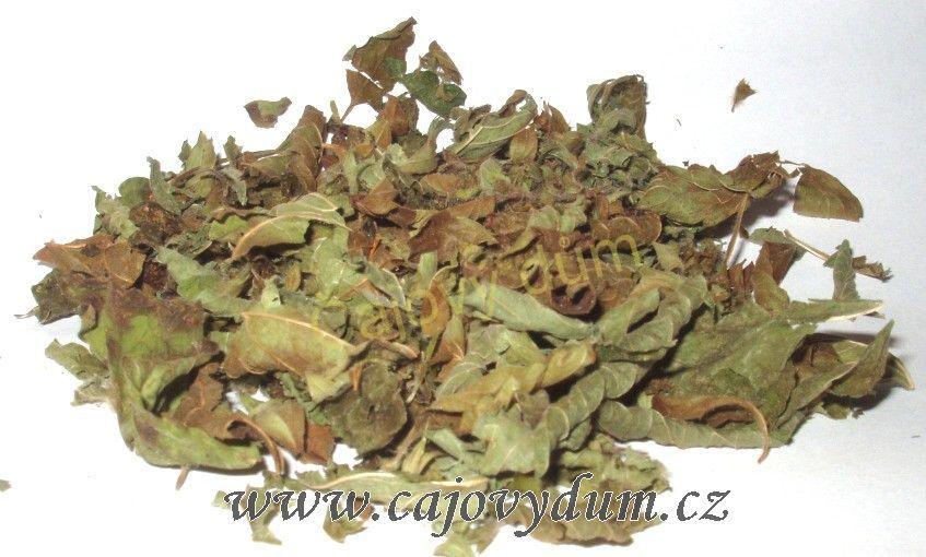 Meduňka nať řezaná