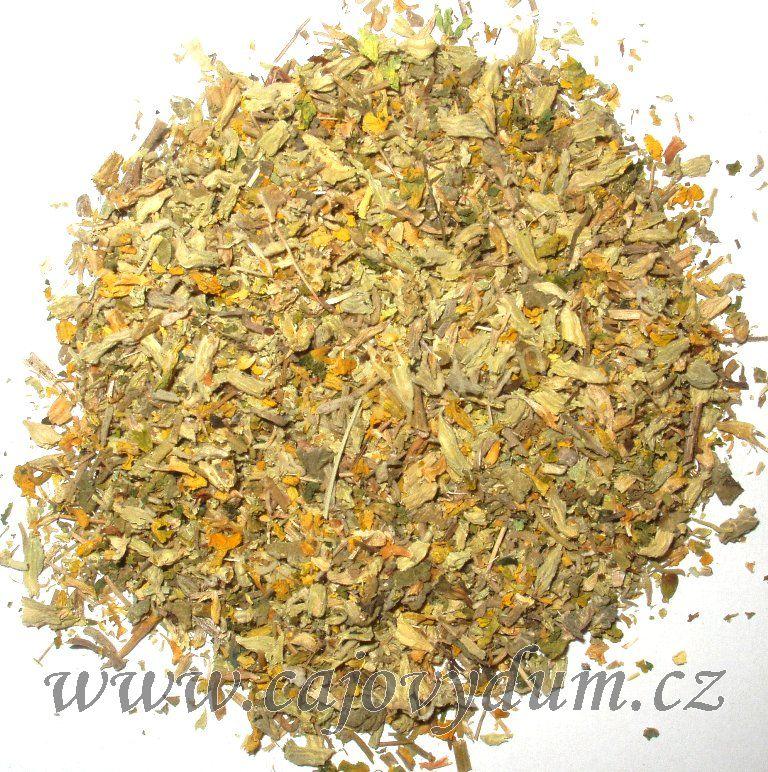 Prvosenka květ s kalichem 