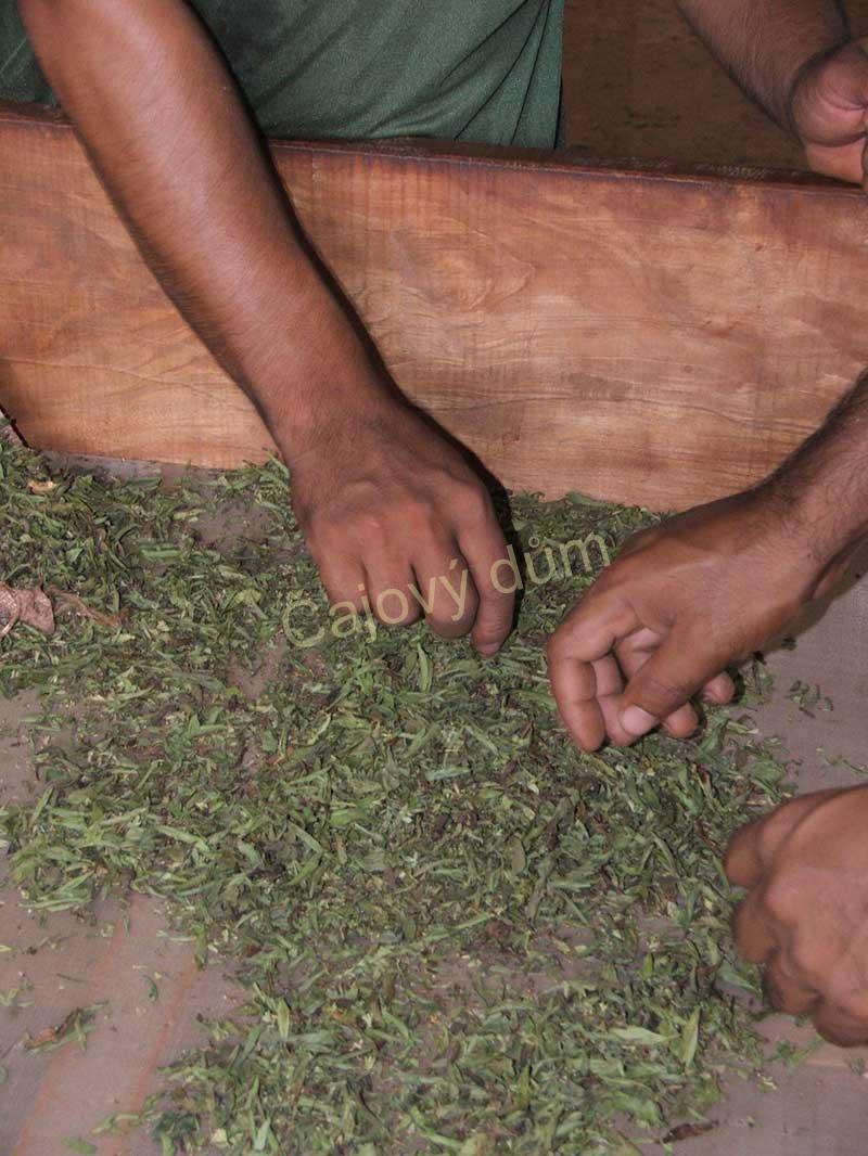 Stevia cukrová sušená