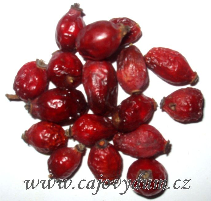 Šípek plod řezaný 