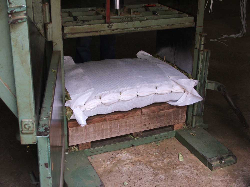 1000 tablet á 70mg  v doze