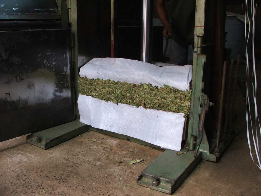 1000 tablet á 70mg  v doze