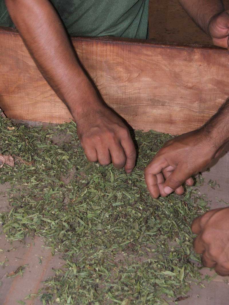 Tablety Stevia á 60mg  v sáčku