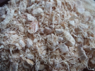 Zázvor oddenek loup. řez. (50g)